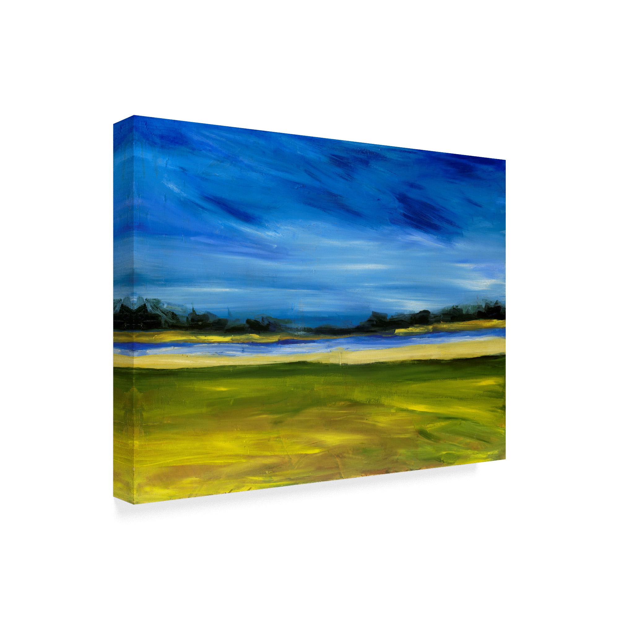 Trademark Fine Art 'Bright Marsh III' Canvas Art by Erin McGee Ferrell
