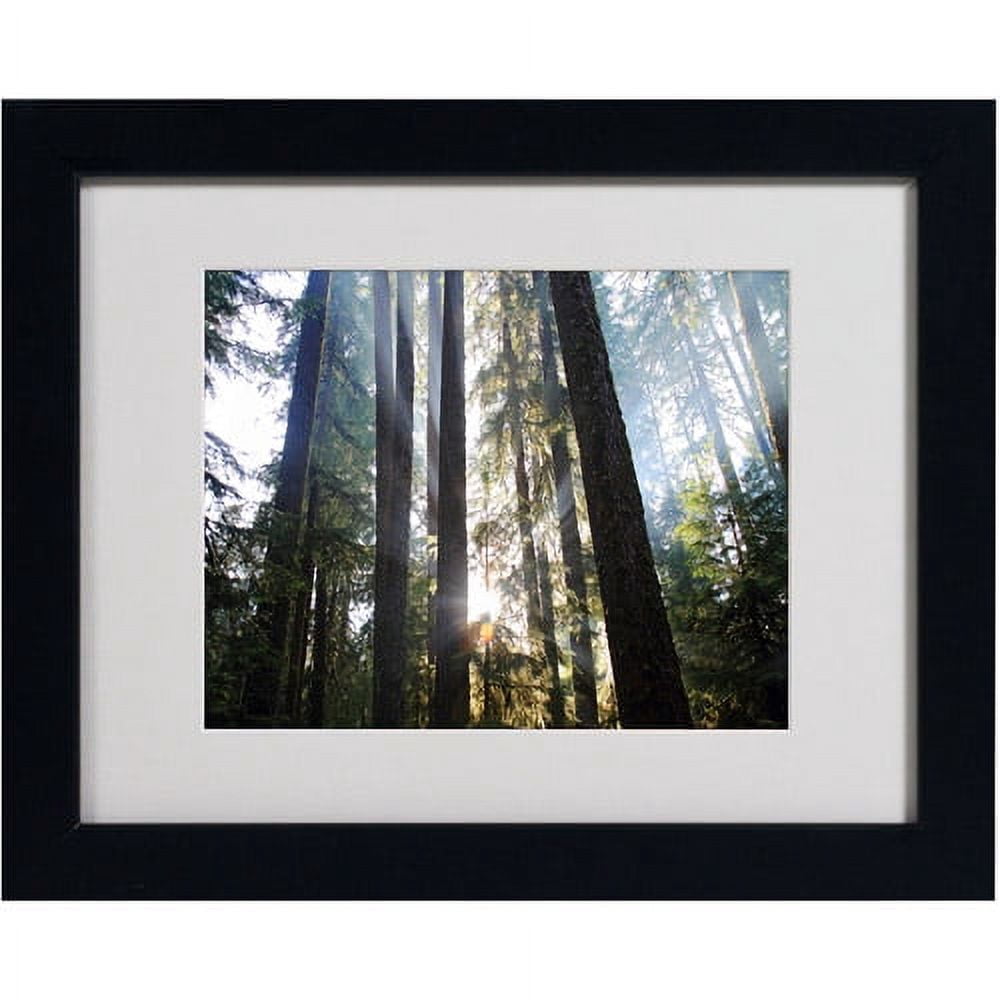 Trademark Fine Art "Sunrays" Matted Framed Art by Pierre Leclerc