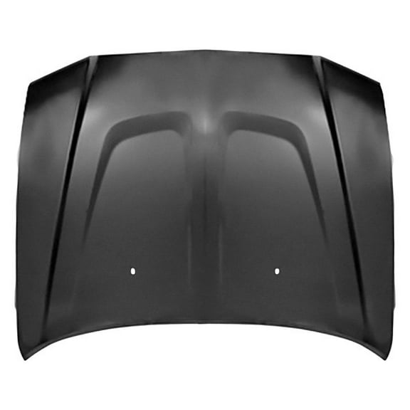 Hood Panel for Dodge Charger 2011-2014
