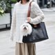 thumbnail image 5 of Bolso de Gato Portátil Bolso de Mascotas Transpirable Bolso de Hombro Portátil de Moda para Mascotas para Perros Pequeños y Gatos de Oxford Ropa de Desgaste Resistente a la, 5 of 7