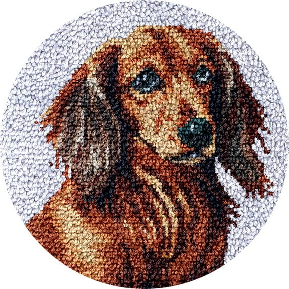 Dachshund Round Shape Latch Hook kits Rug Color Printed Round Shape DIY Crochet Yarn Embroidery Needlework Hook and Latch Kit Carpet Cushion Home Christmas Decoration 50x50cm(3)