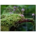 thumbnail image 1 of Mushroom Ceramic Tile Mural Kitchen Backsplash Bathroom Shower 401202-M43, 1 of 3