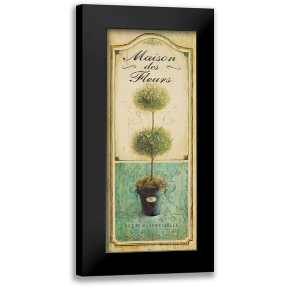 Staehling, Angela 8x14 Black Modern Framed Museum Art Print Titled - Maison Topiary