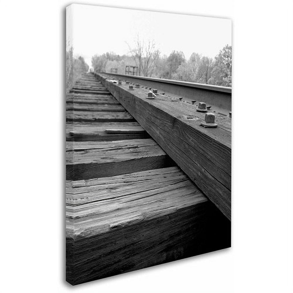 Trademark Fine Art "Unfinished Flaw" Canvas Art by Monica Fleet