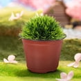 thumbnail image 4 of Miangastore 20Pcs Plant Container in Red for Indoor Decor 11X9.9In Minimalist Style, 4 of 8