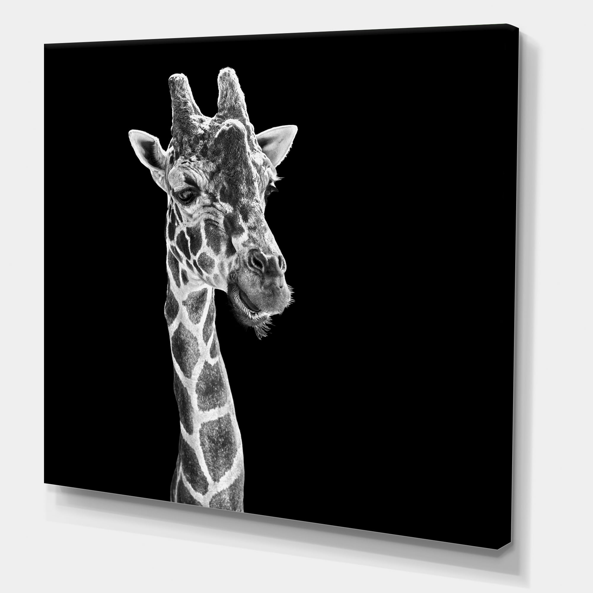 Designart ' Close Up Portrait Of A Giraffe On Black II ' Farmhouse Canvas Wall Art Print