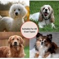 thumbnail image 4 of Big G Dog Slicker Brush for Professional Grooming - Detangle & Style Goldendoodles, Poodles & More, 4 of 5