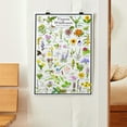 thumbnail image 3 of Virginia Wildflowers Poster - Native Grassland Blooms - Educational Science Chart of Virginia Flowers, 3 of 5
