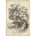 thumbnail image 3 of Harding, J.D. 11x14 Black Modern Framed Museum Art Print Titled - Noble Tree II, 3 of 5