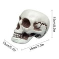 thumbnail image 3 of Nilvkv Halloween Skeletons Plastic Realistic Fake Simulation Human Skull Headbone Model Halloween Prop Realistic Mini Skeleton Spooky Halloween Decoration, 3 of 6