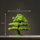 thumbnail image 3 of Home Decoration Potted DIY False Tree Bonsai Living Room Chinese Style Hotel Porch Landscape Decoration Green Plant Decoration My Lux Decor Round, 3 of 25