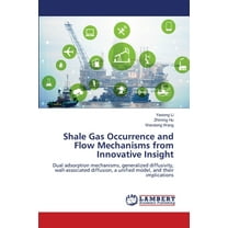 Shale Gas Occurrence and Flow Mechanisms from Innovative Insight, (Paperback)