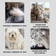 thumbnail image 4 of Cepillo para gatos con cepillo 3 en 1 para gatos y perros Cepillo con spray Aseo y masaje para perros Gatos, 4 of 6