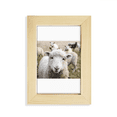 thumbnail image 1 of m Sheep Animal Picture Desktop Display Photo Frame Picture Art Painting 5x7 inch, 1 of 3