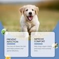 thumbnail image 2 of 1-3pcs Dog Anal Gland Odor Removal Spray, Mild Ingredients Fresh Clean Odor Removal After Potting Care, 2 of 5