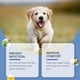 thumbnail image 2 of 1-3pcs Dog Anal Gland Odor Removal Spray, Mild Ingredients Fresh Clean Odor Removal After Potting Care, 2 of 5