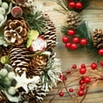 thumbnail image 6 of Christmas Pine Cones Ornament,9 Pieces Pine Cones with String,Bulk Winter Hanging Christmas Decoration,Pine Cone Pendant Crafts for Xmas Tree Gift Tag Party Festival,1.4-1.8 in, 6 of 8