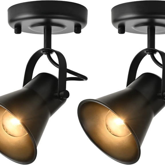 Industrial Mini Track Lighting Ceiling Light, Black Spot Lights Indoor with Multi-Directional Adjustable Light Head, Ceiling Mount Spotlight for Bedroom Living Room Hallway Kitchen(2 Pack)