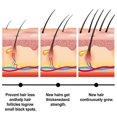 thumbnail image 4 of 2 piezas de suero anti-encanecimiento para el cabello Suero anti-encanecimiento para el cabello Suero anti-encanecimiento para el cabello para hombres y mujeres, 4 of 5