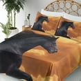 thumbnail image 5 of Ambesonne Nature Fitted & Top Sheet Set with Shams, Galloping Friesian Horse, Black Orange, 5 of 7
