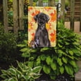 thumbnail image 2 of Carolines Treasures BB9503GF Black Labrador Fall Flag Garden Size, 2 of 3