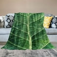 thumbnail image 2 of Creowell  Food Lettuce Blanket Cozy Soft Lightweight Flannel Throw Blanket for Bed Sofa Travel All Season  50x60in, 2 of 6