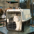 thumbnail image 2 of Jaula grande para perros y gatos, para coche, para envíos de mascotas, jaula para gatos pequeños y medianos, caja de aire portátil para envíos de salida, 2 of 5