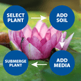 thumbnail image 2 of The Pond Guy Planting Media, Outdoor Water Garden Plant Medium, Grow Lily, Lotus & Aquatic Plants, Substrate Seeds Beneficial Bacteria, 8 Quarts (2x 4qt/approx. 6 lb Bags), 2 of 9