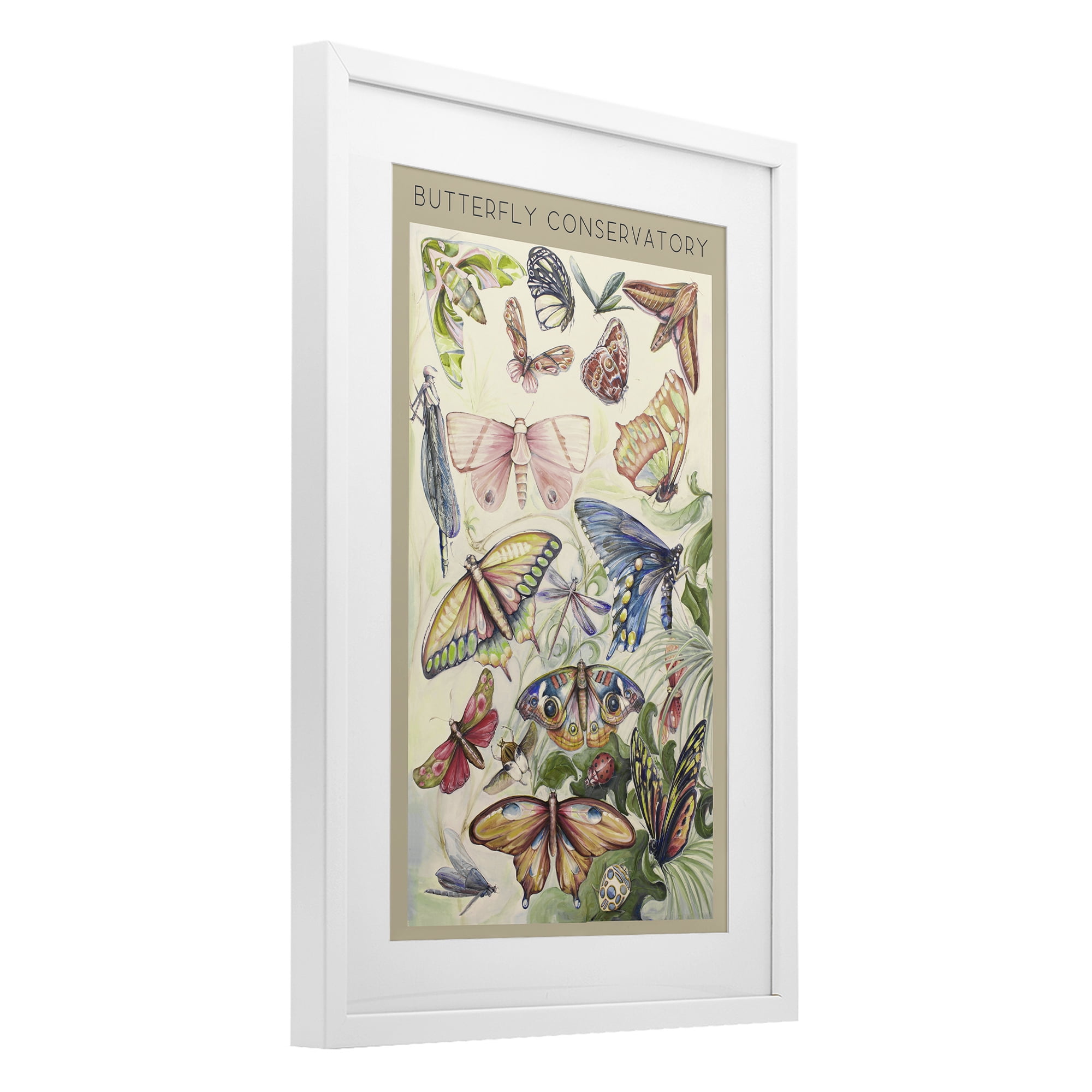 Stupell Industries Butterfly Conservatory Insects White Framed Print Under Glass, design by Diannart