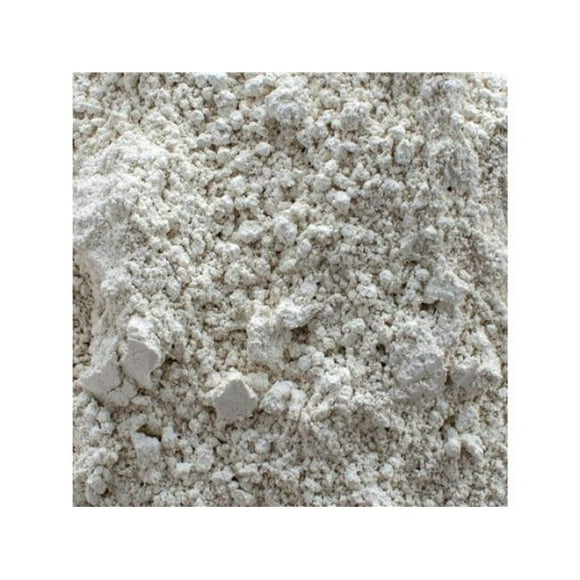 Eagle Picher Minerals CELAPOOL 40 QT Diatomaecous Earth De Polybag