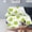 Cute Frogs, variant on Cute Owl Blanket Soft Bed Blankets Lightweight Cozy Plush Flannel Fleece Blanket for Sofa Couch Bedroom 50"x40" Small