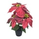 thumbnail image 1 of Planta de Pascua artificial navideña Plantas artificiales Decorativas navideñas 3 cabezas, 1 of 9