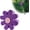 Purple, variant on Chasenew Daisy Car Antenna Topper, EVA Foam Daisy Antenna Decoration Rearview Mirror Dangler, Automotive Roof Toppers Lovely Flower Aerial Ball Cute Dashboard Accessory for Women Men (White)