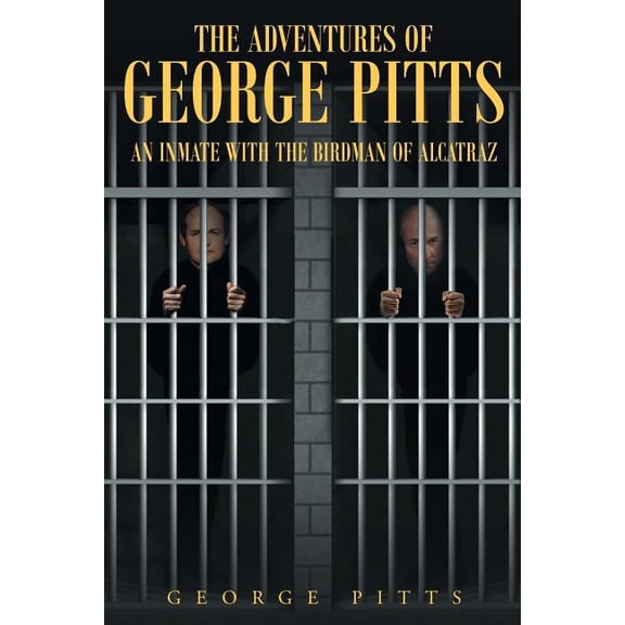 The Adventures of George Pitts (Paperback)