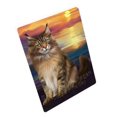thumbnail image 1 of Maine Coon Cat Blanket BLNKT82578, 1 of 3