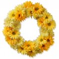 thumbnail image 1 of Arbre National 19 Po Couronne de Cosmos - Jaune, 1 of 1