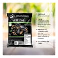 thumbnail image 3 of Mejillones Camanchaca natural 500 g congelado, 3 of 4