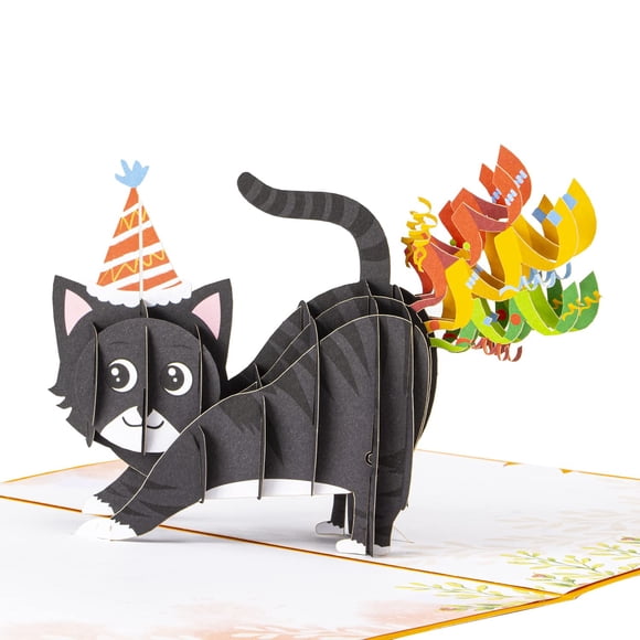Createreedo Cat Birthday Cards Cat Pop Up Cards Pop Up Birthday Cards For Cat Lovers Women Men Wife Husband Friends Kids Etc.