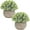 Style #05, variant on Small Fake Plants Faux Potted Plant Mini Artificial Plants for for Home Table Office Room Desk Bathroom Shelf Kitchen Farmhouse Mantel Decoration