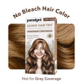 thumbnail image 2 of Paradyes No Bleach Lover's Latte Glossy Hair Tint, 2 of 9