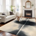 thumbnail image 2 of 5'x7' Area Rugs, Black Beige Lake Indoor Outdoor Area Rug for Living Room Bedroom, Mysterious Abstract Retro Aesthetics Washable Bathroom Rugs Kitchen Floor Carpet Mats Home Decor Aesthetic, 2 of 8