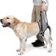 thumbnail image 1 of Arnés para perros grandes shaofei Soporte para patas traseras XL, 1 of 4