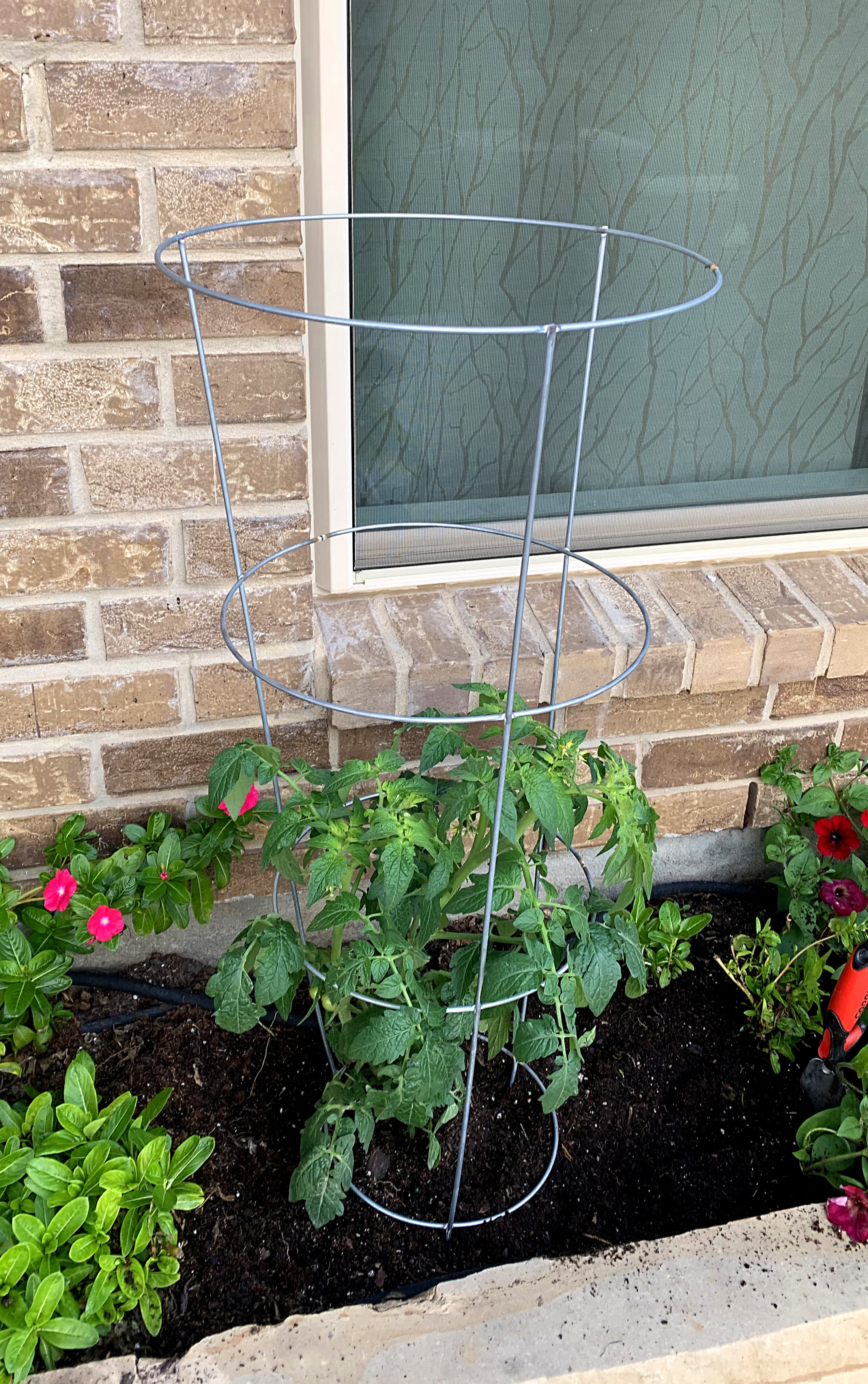 Glamos Wire 42 inch Tomato Cage 10 Pack Plant Support for Tomatoes, Peppers, and Vegetables