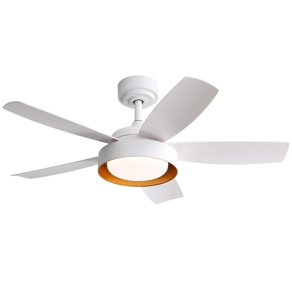 Sofucor 42-inch Modern Ceiling Fan with LED Lights and Remote Control