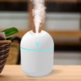 thumbnail image 1 of MesaSe 250ML USB Mini Air Humidifier Aroma Essential Oil Diffuser For Home Car Ultrasonic Mute Mist Maker Diffuser with LED Color Lamp, 1 of 8