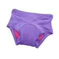 thumbnail image 4 of Ropa interior de ciclismo para mujer, ligera, versátil, para uso deportivo, pantalones cortos para ciclismo. Púrpura, 4 of 9
