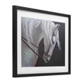thumbnail image 2 of Stupell Industries Transitional Majestic White Mare Black Framed Print Under Glass, 16 x 13, by Jadei Graphics, 2 of 8