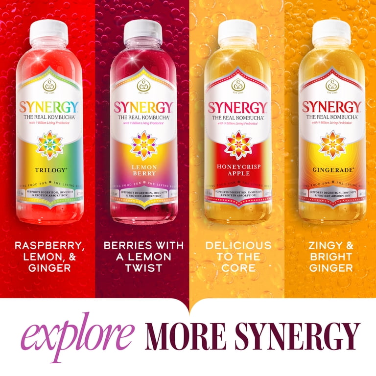 GT.S Synergy Real Kombucha, Gingerberry, 16 fl oz, Fermented