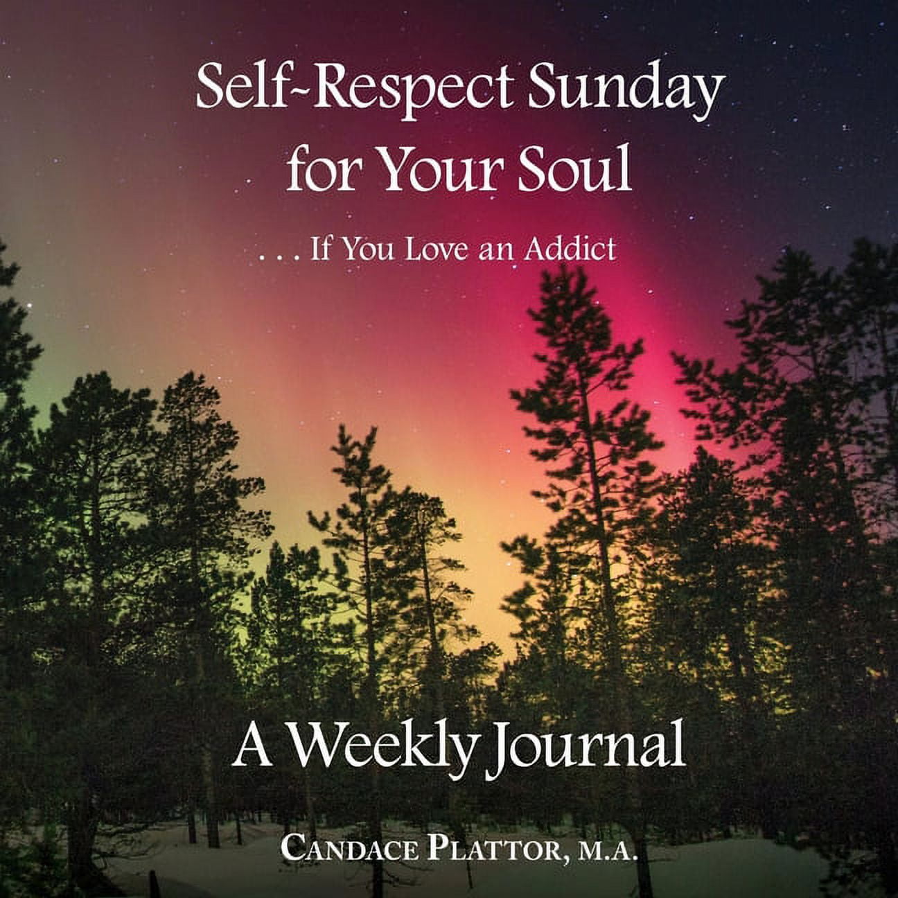 Self-Respect Sunday for Your Soul . . . If You Love an Addict: A Weekly Journal (Paperback)