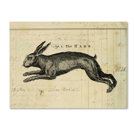 Trademark Fine Art The Hare Canvas Art by Marcee Duggar